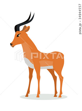 Antelope Impala Cartoon Icon in Flat Design Antelope Impala Cartoon Icon in Flat Design 34944557