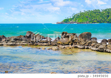 Beach tropical ocean with coral, palms trees  34945650