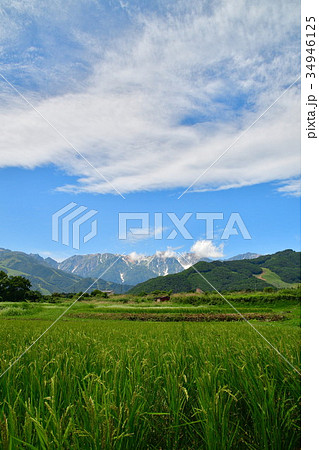白馬連峰（長野県） 34946125