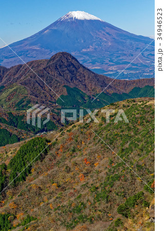箱根・明神ヶ岳から見る富士山と金時山 34946523