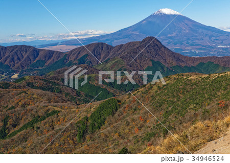 箱根・明神ヶ岳から見る富士山と金時山 34946524