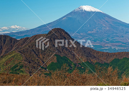 箱根・明神ヶ岳から見る富士山と金時山 34946525