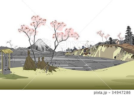 大宮宿―風景 34947286