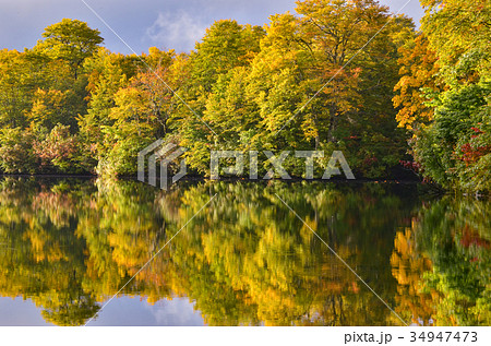 信州の風景 雨飾高原 鎌池の紅葉 信州の風景 雨飾高原 鎌池の紅葉 34947473