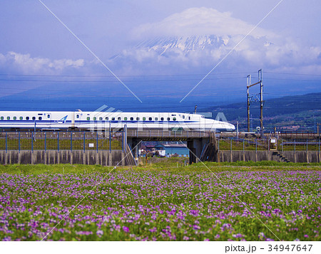 東海道新幹線N700Aと蓮華畑 東海道新幹線N700Aと蓮華畑 34947647