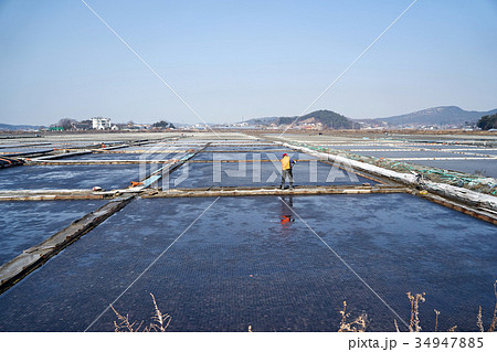 塩田 塩 韓国 34947885