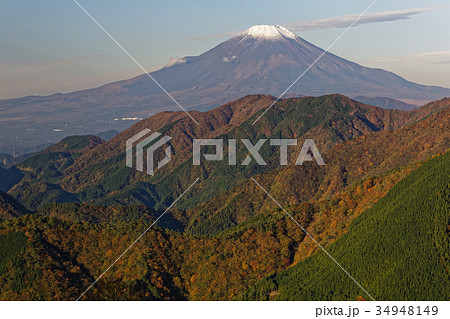 丹沢表尾根から見る富士山と紅葉の大倉尾根 丹沢表尾根から見る富士山と紅葉の大倉尾根 34948149