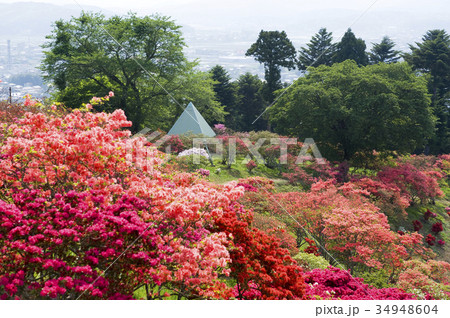 笠間市つつじまつり 34948604