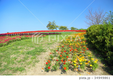 秋の公園 秋の公園 34949861