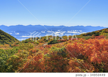 千畳敷カール 千畳敷カール 34950449