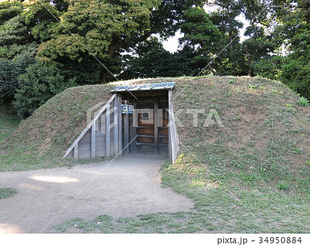 浜離宮恩賜庭園にある庚申堂鴨場の小覗 浜離宮恩賜庭園にある庚申堂鴨場の小覗 34950884