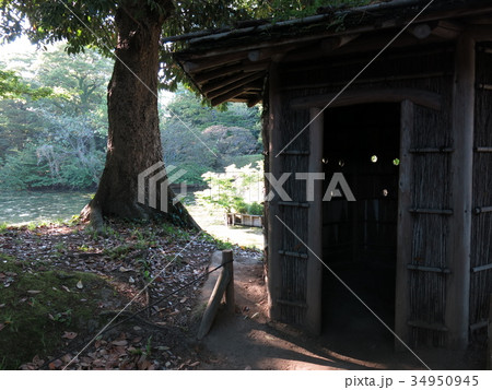 浜離宮恩賜庭園にある庚申堂鴨場の大覗と元溜り 浜離宮恩賜庭園にある庚申堂鴨場の大覗と元溜り 34950945