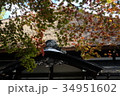 秋田県仙北市角館町の紅葉 34951602