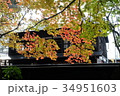 秋田県仙北市角館町の紅葉 34951603