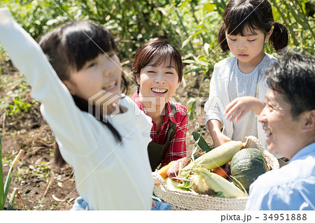 家族 農業 野菜 畑 子供 ファミリー イメージ 34951888