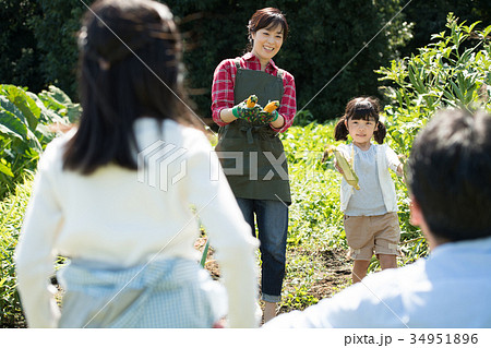 家族 農業 野菜 畑 子供 ファミリー イメージ 34951896