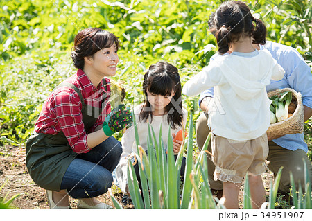 家族 農業 野菜 畑 子供 ファミリー イメージ 34951907
