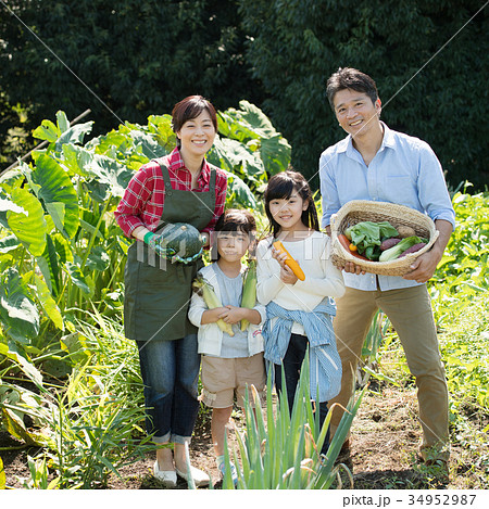 家族 農業 野菜 畑 子供 農業体験 イメージ 34952987