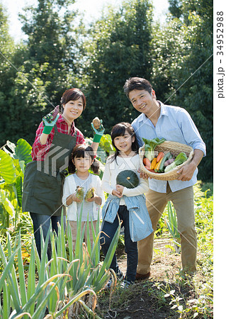 家族 農業 野菜 畑 子供 農業体験 イメージ 34952988