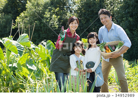 家族 農業 野菜 畑 子供 農業体験 イメージの写真素材 34952989 Pixta