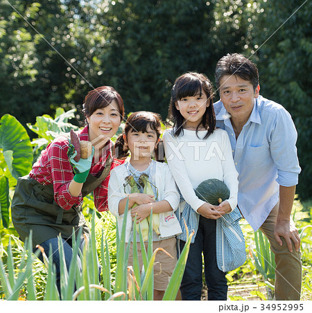 家族 農業 野菜 畑 子供 農業体験 イメージ 34952995