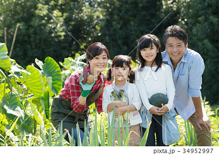 家族 農業 野菜 畑 子供 農業体験 イメージ 34952997