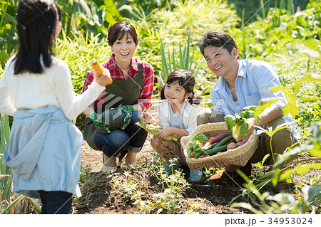 家族 農業 野菜 畑 子供 農業体験 イメージ 家族 農業 野菜 畑 子供 農業体験 イメージ 34953024