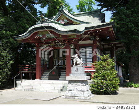 新緑が美しい春の柴又八幡神社 新緑が美しい春の柴又八幡神社 34953321
