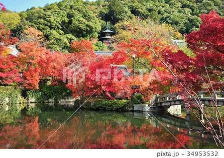 永観堂の紅葉 永観堂の紅葉 34953532