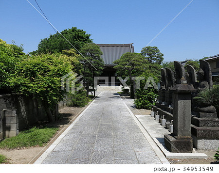 新緑が美しい葛飾区柴又の真勝院(本堂と五智如来石像) 新緑が美しい葛飾区柴又の真勝院(本堂と五智如来石像) 34953549