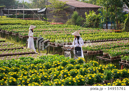 Two school girls with Ao Dai in a garden, Sa Dec 34955761