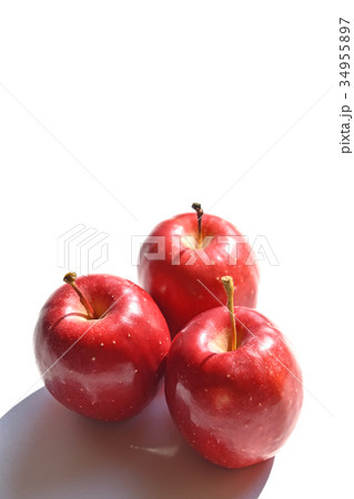 リンゴ（アルプス乙女） 34955897