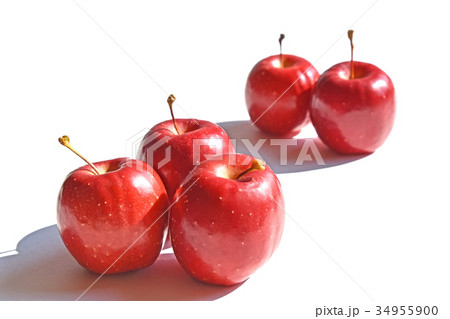 リンゴ（アルプス乙女） 34955900