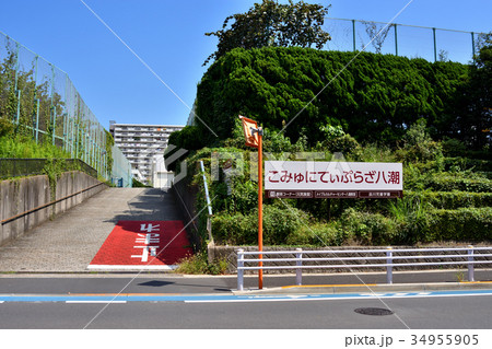 こみゅにてぃぷらざ八潮の西側入り口 34955905