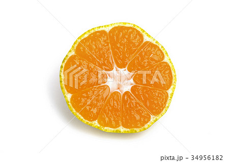 早生みかん 早生みかん 34956182