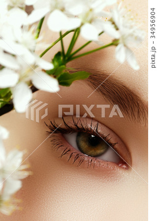 Beauty girl. Cosmetics & makeup. Beauty woman 34956904