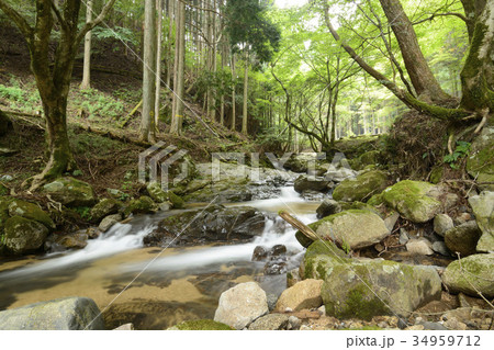 子延川　かえで渓谷 34959712