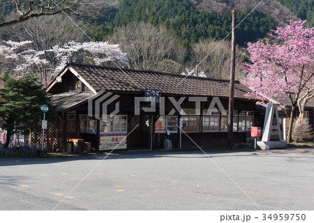 春のわたらせ渓谷鐡道 34959750