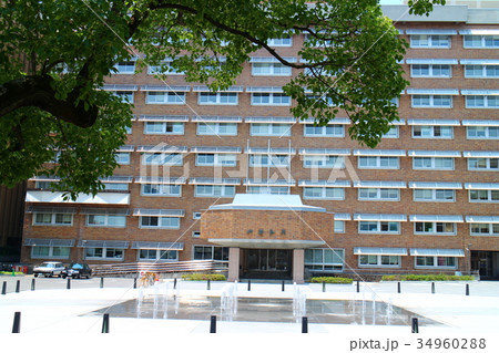 山梨県庁 Japan,Yamanashi 山梨県庁 Japan,Yamanashi 34960288