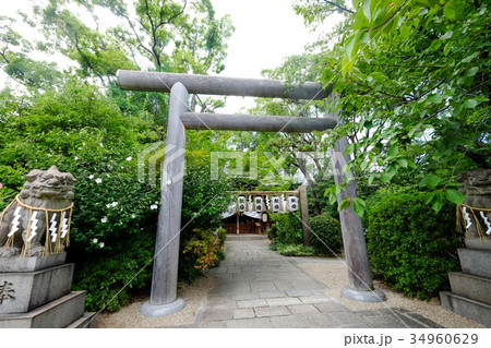 堀越神社（入口） 34960629