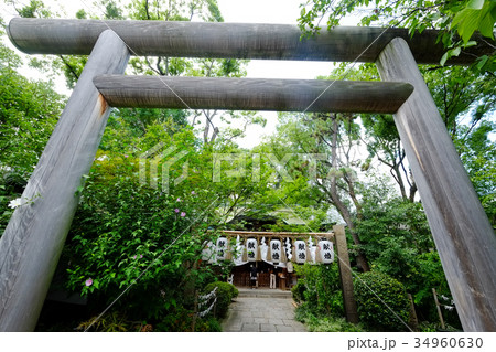 堀越神社(鳥居) 堀越神社(鳥居) 34960630