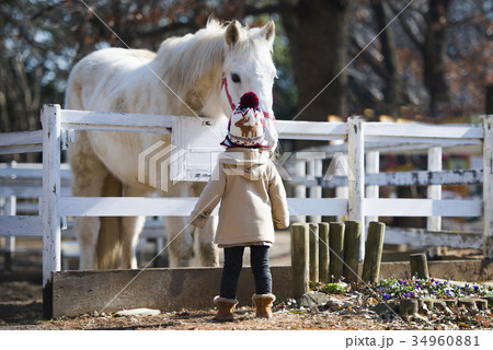 馬を見つめる子供 馬を見つめる子供 34960881