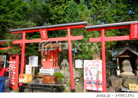 三光稲荷神社(姫亀社) 三光稲荷神社(姫亀社) 34961391