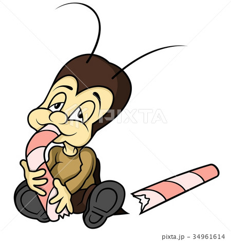 Small Cricket Eating Candy 34961614