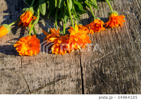 Calendula flowers on the wooden background 34964105
