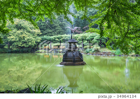 秋雨に濡れる日比谷公園 34964134