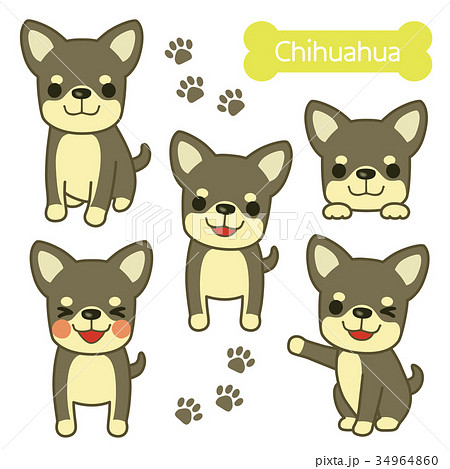 Chihuahua Illustration Black Stock Illustration