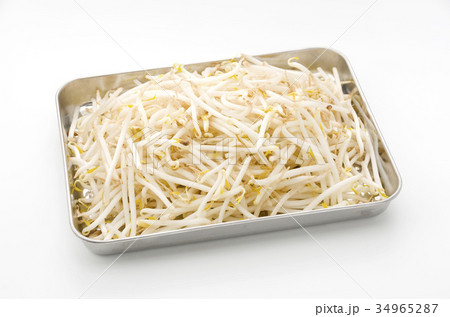 もやし 34965287
