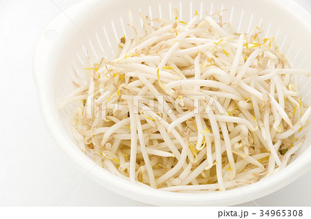 もやし 34965308