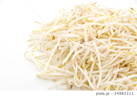 もやし 34965311